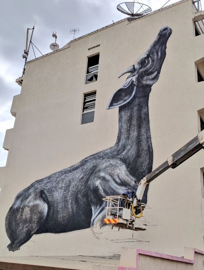 ROA, a Semi-anonymous artist, whose work is extensively recorded and globally recognizable. Having created hundreds of murals...